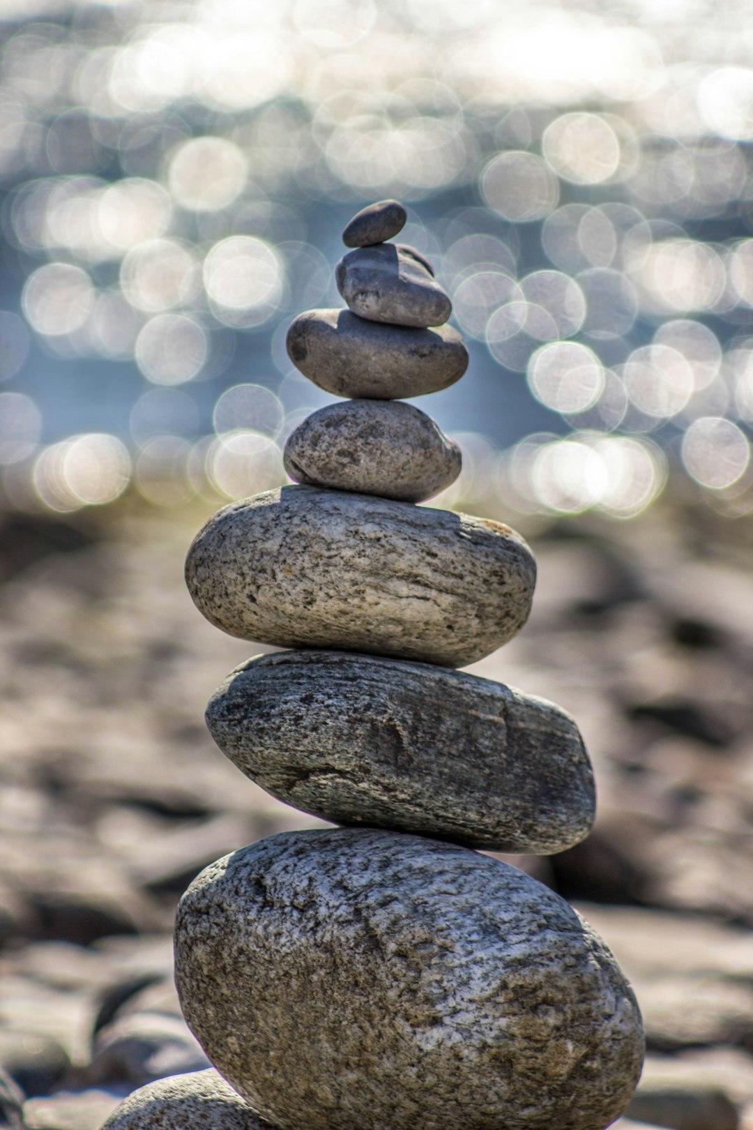 Pursue Virtue and Tranquility