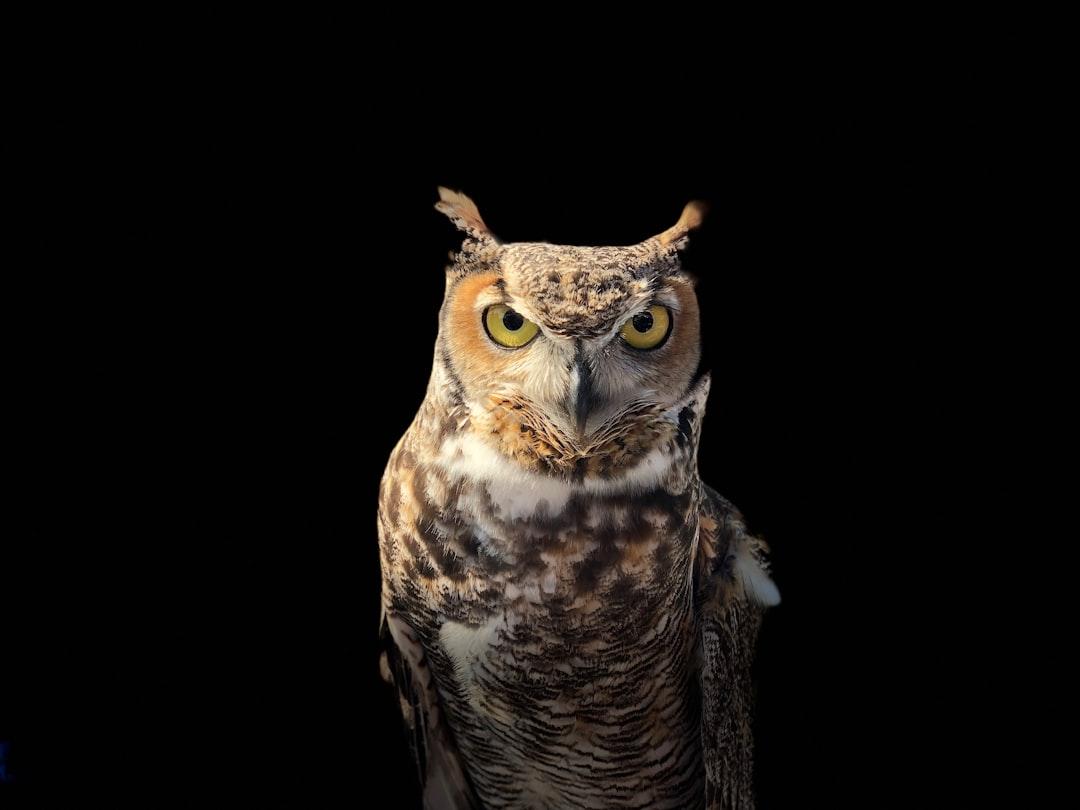 Handle Grief and Old Age with Stoic Wisdom