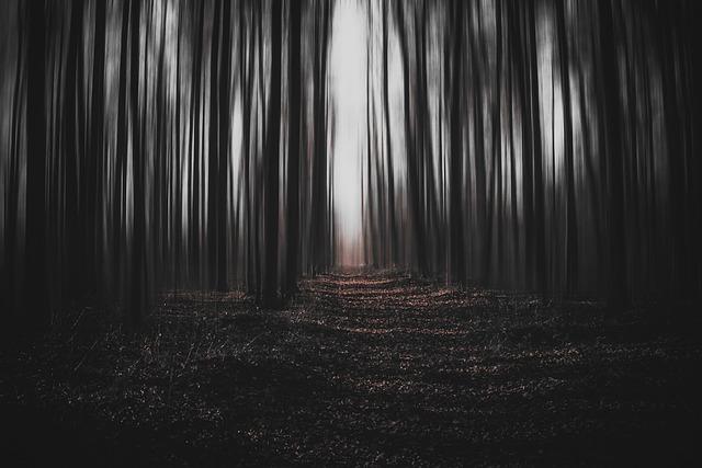 The Dark Forest Theory