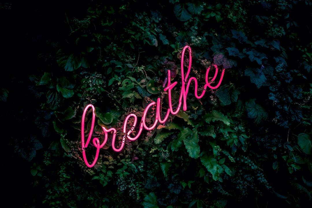 Example Anxiety Management Plan