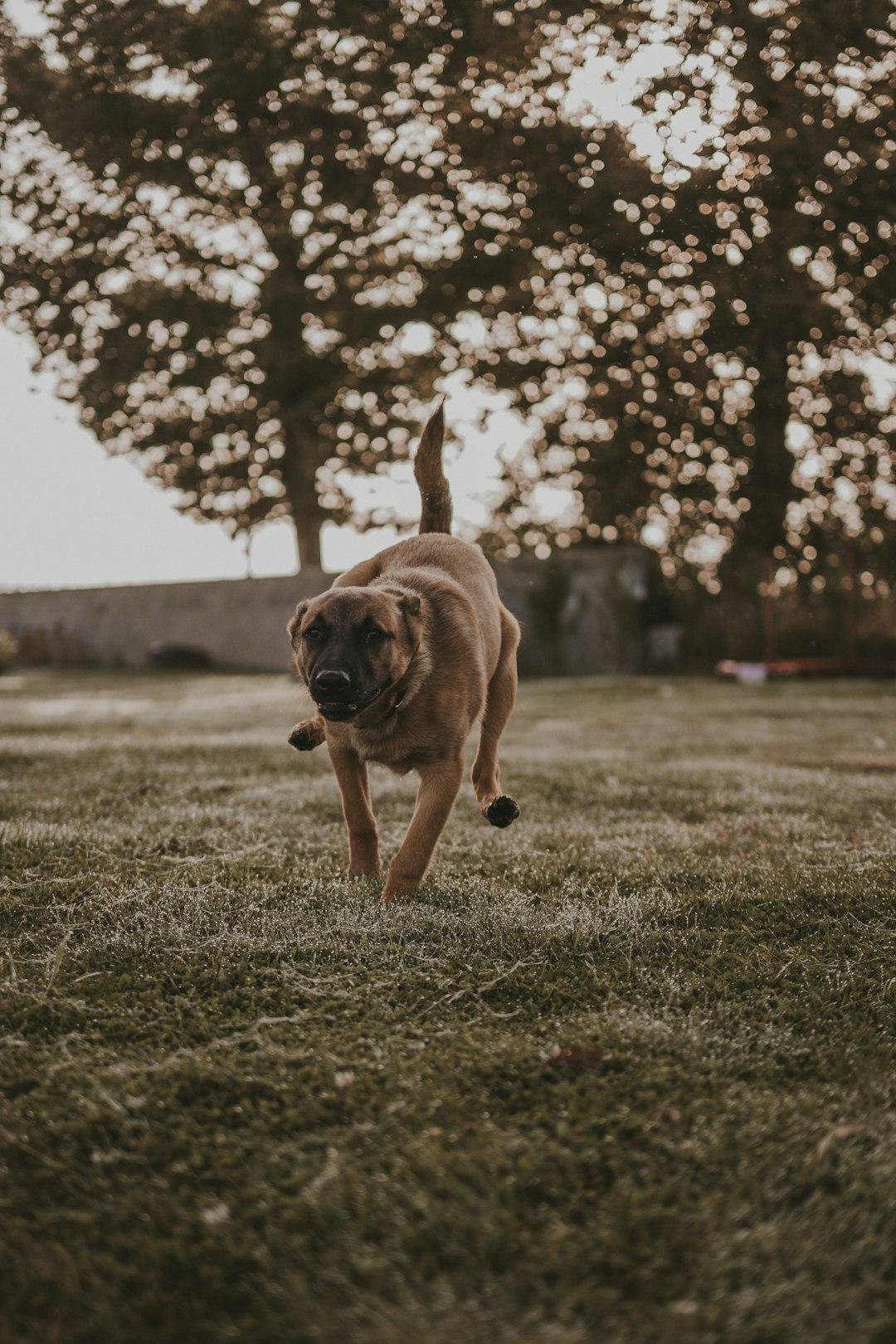 The Importance of Physical Exercise