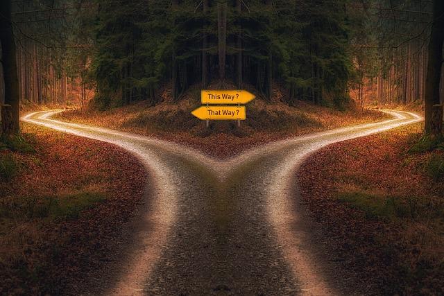 9. Feelings Guide Decisions