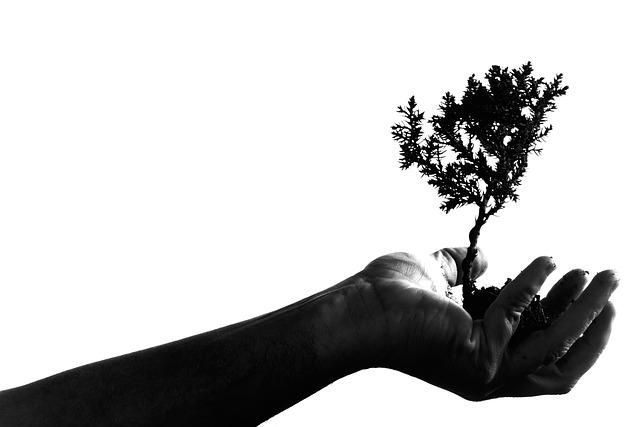 Misdiagnosing Growth as Illness
