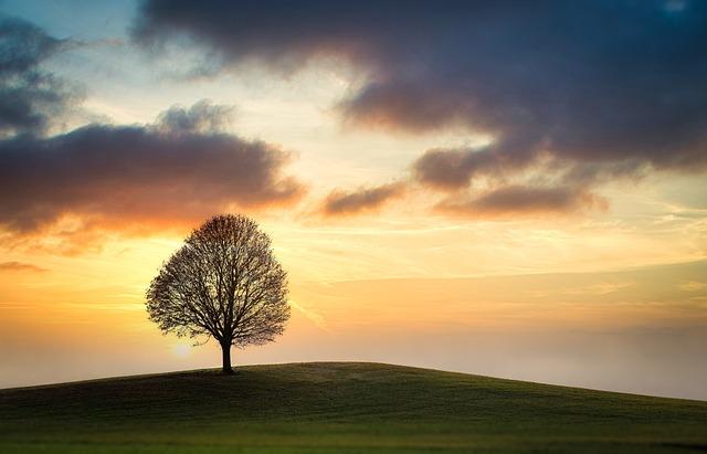 Personal Growth through Solitude