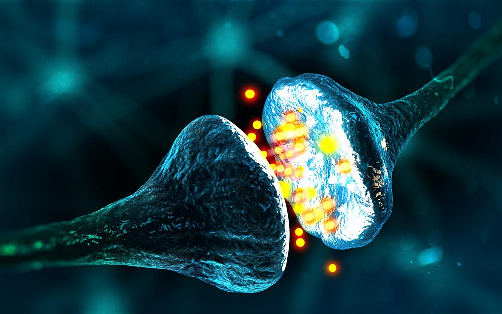 What Is Dopamine?