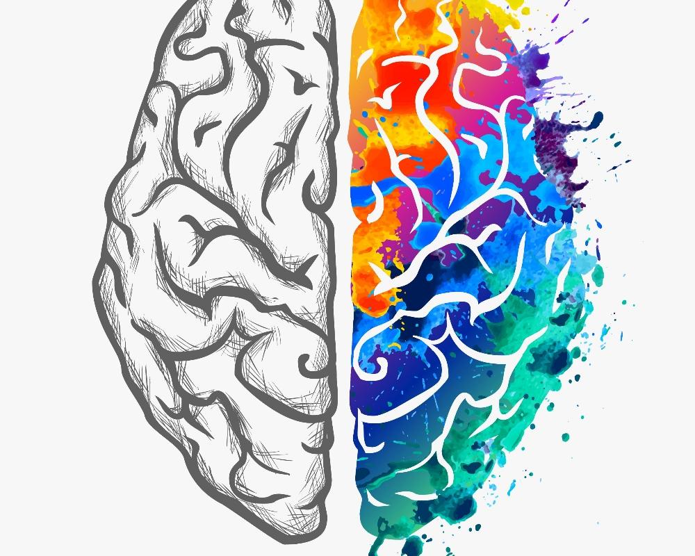 Empower Yourself With Brain-Friendly Learning!