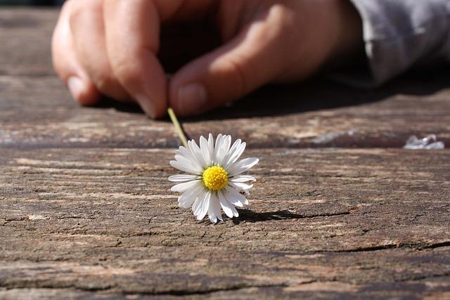 Choose Satisfaction, not happiness: