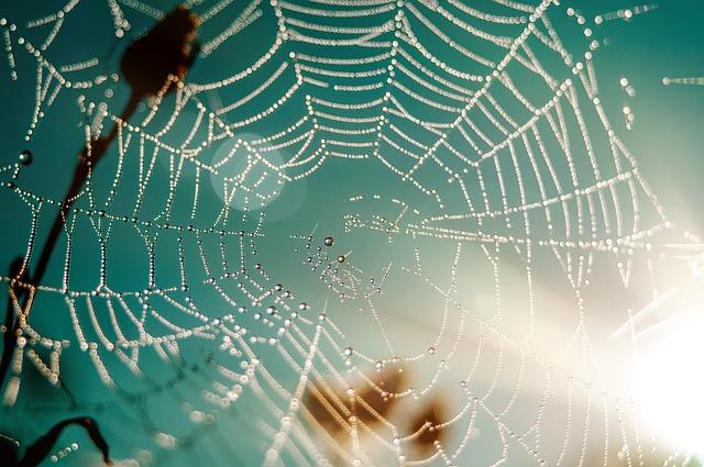 Character Web by Function/ Archetypes