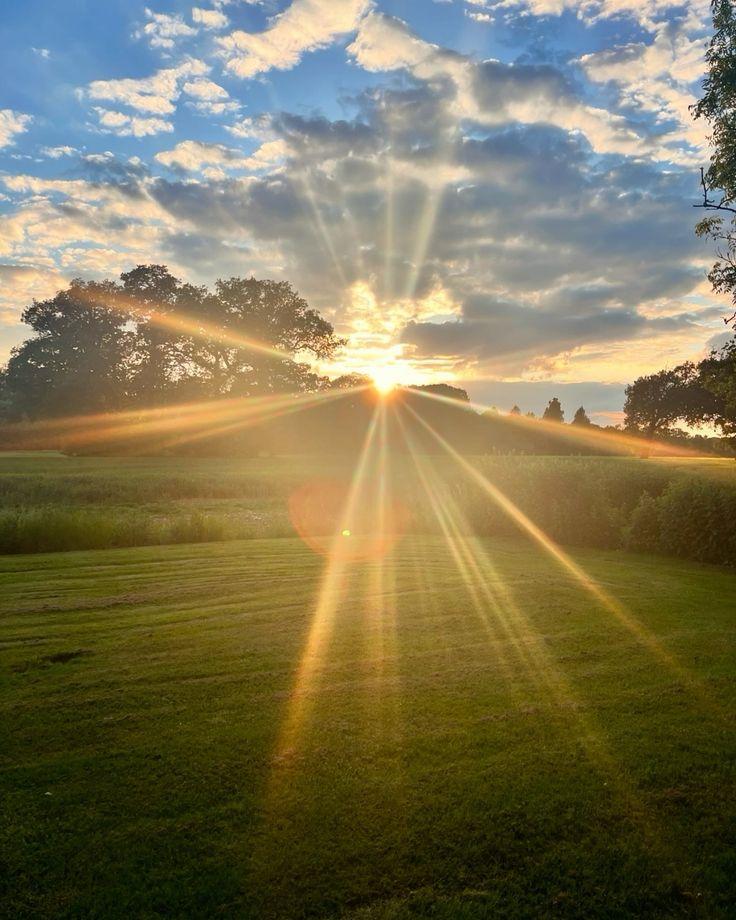 The Importance of Natural Light for Cortisol Regulation