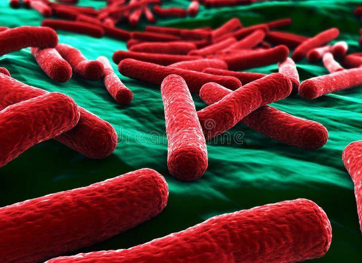 Build Stress Resilience: The E. Coli Study & Mindset Control