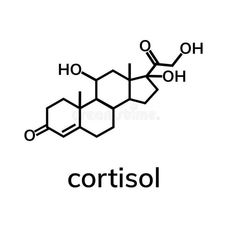 The biology of cortisol