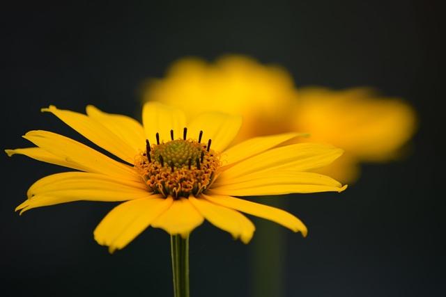 Happiness is in the Details