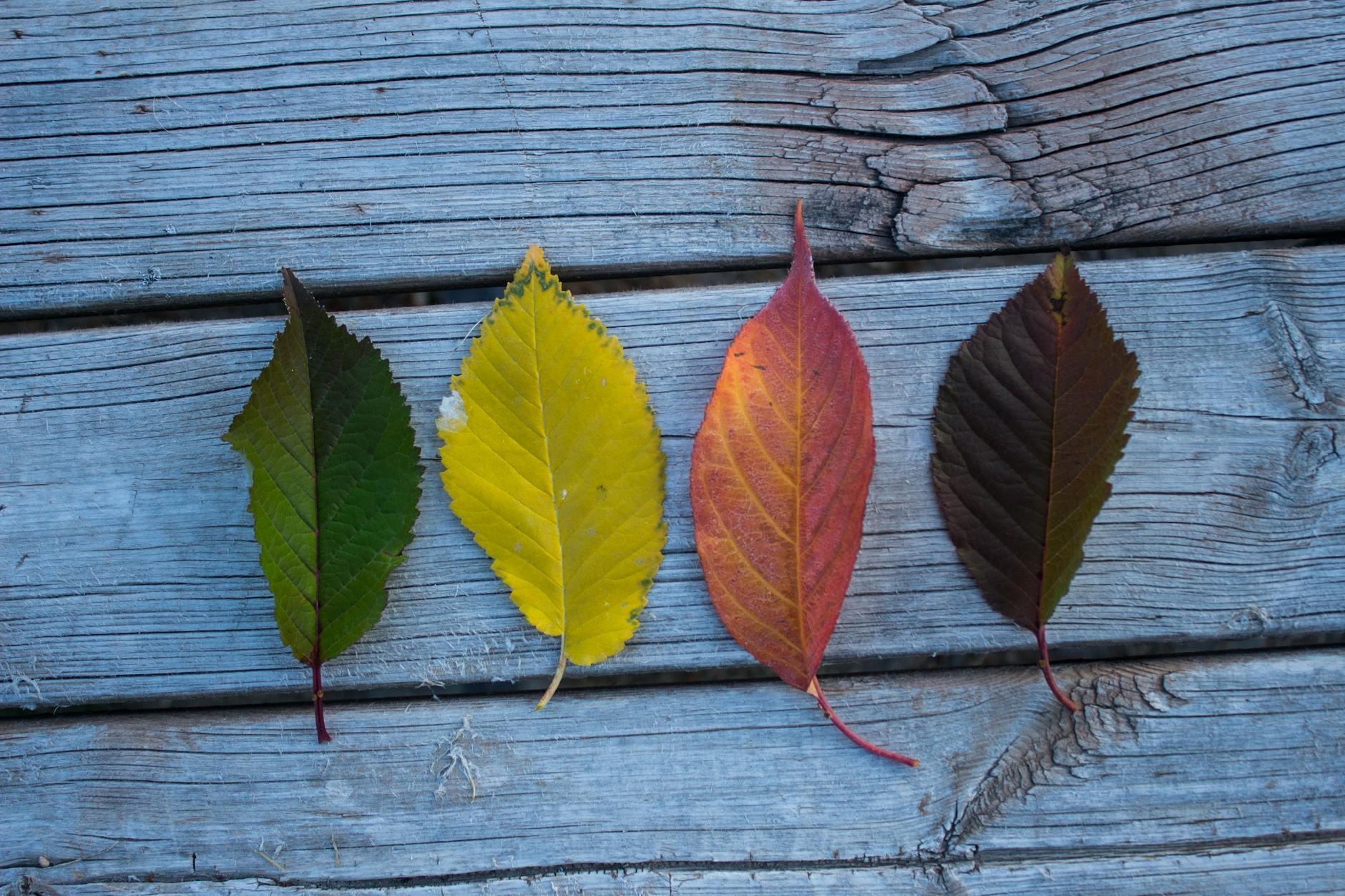 The Four Laws of Behavior Change