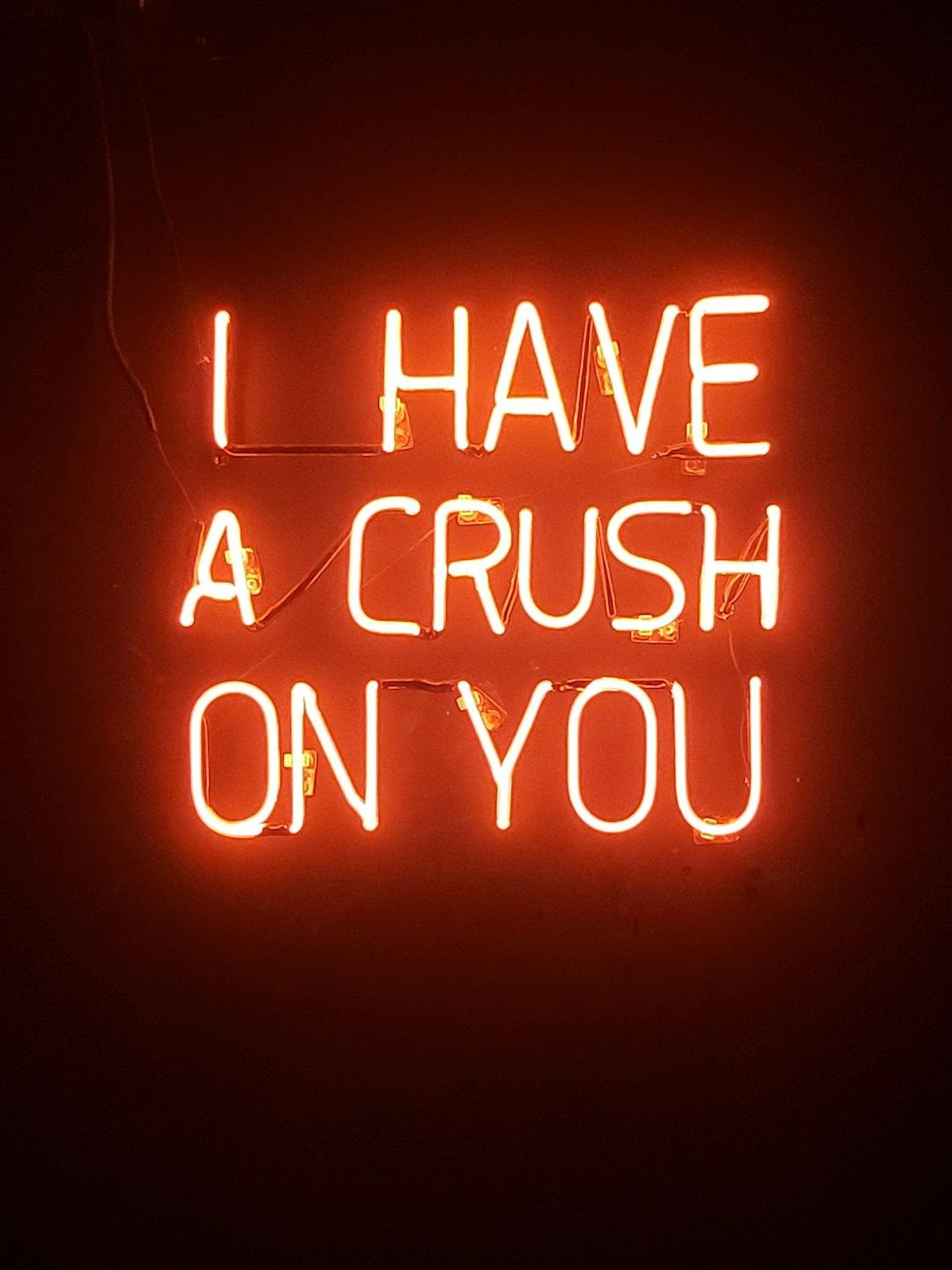 IF YOUR CRUSH REJECTED YOU…