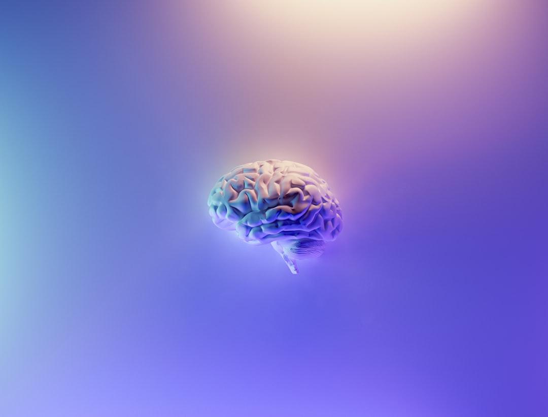 The Second Brain Technique
