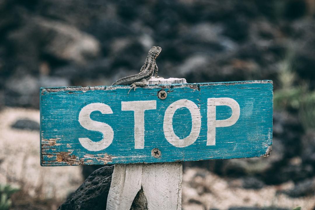 Stop Seeking Perfection