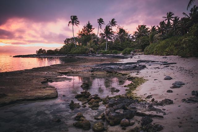 The Pursuit Of Paradise