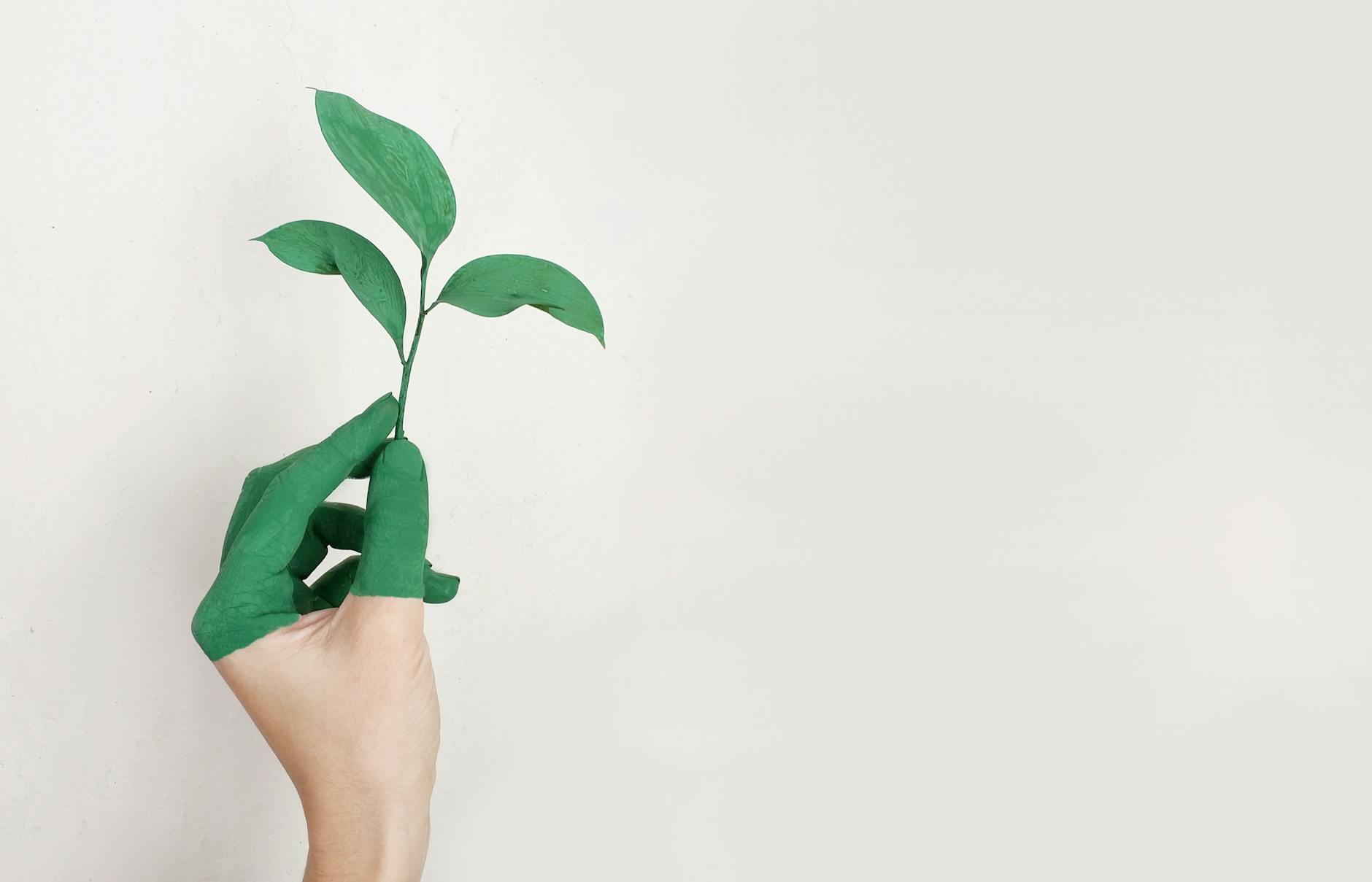 Creative Growth is Lifelong