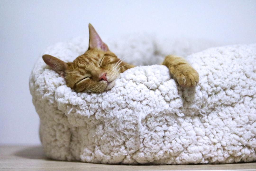 The Importance of Rest for a Well-Balanced Life