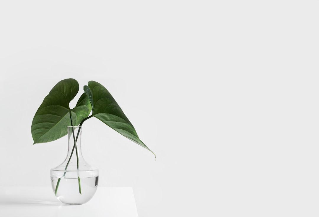 Embracing Simplicity Over Complexity