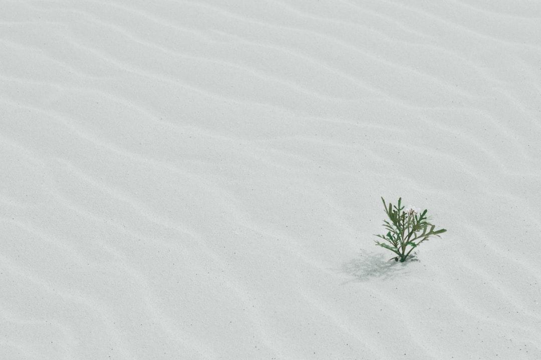 The Shift: From Martyr To Multiplier