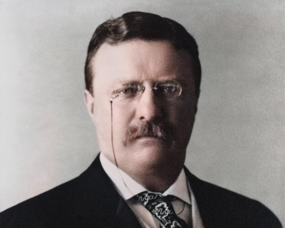 THEODORE ROOSEVELT