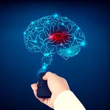 Neuroplasticity
