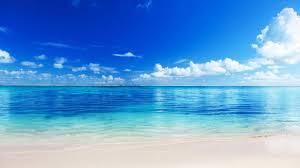 The blue mind