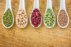 Processed foods and fiber