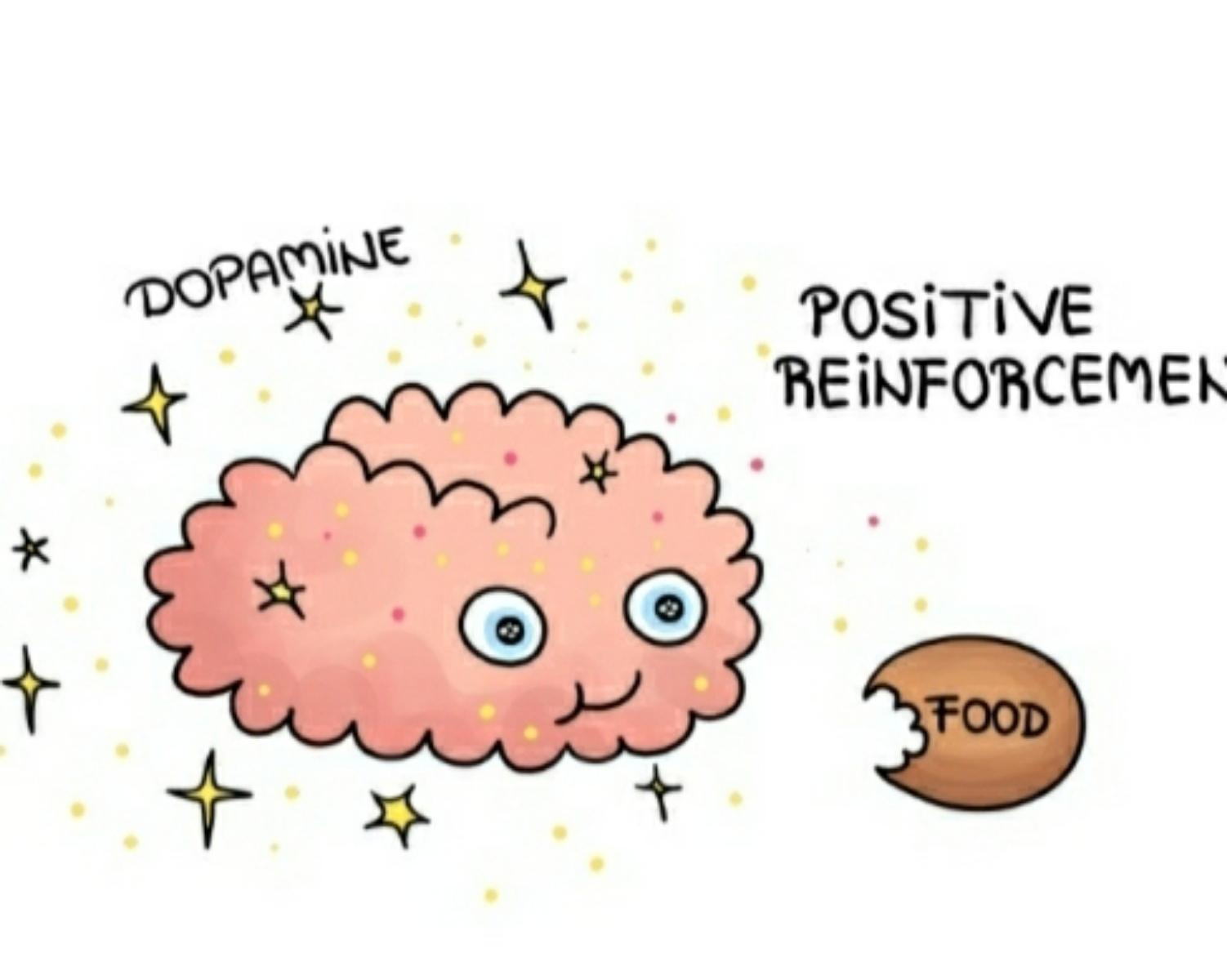 Positive reinforcement