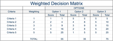 Decision Matrix Analysis