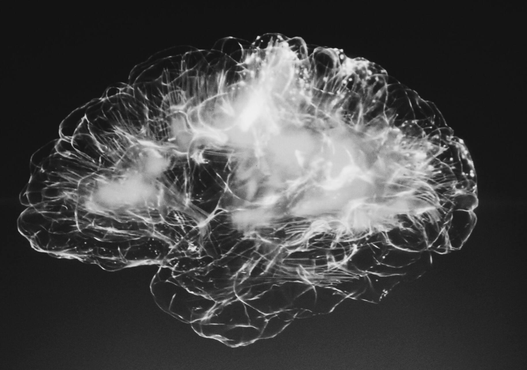 Synapses Fire Together Wire Together