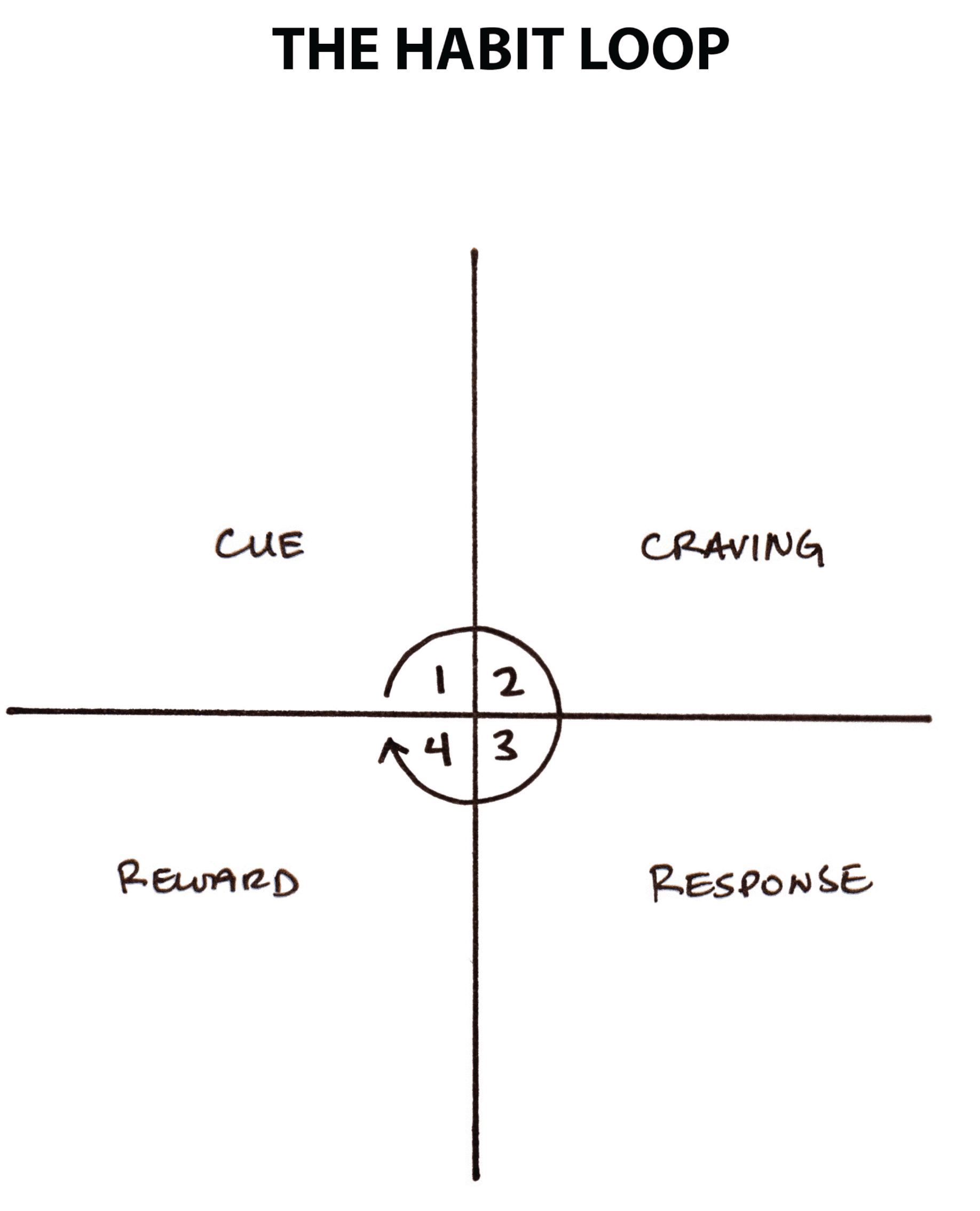 All habits are based on a four-step pattern, which consists of cue, craving, response, and reward.