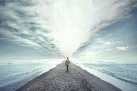 Fundamental Principles From Think and Grow Rich