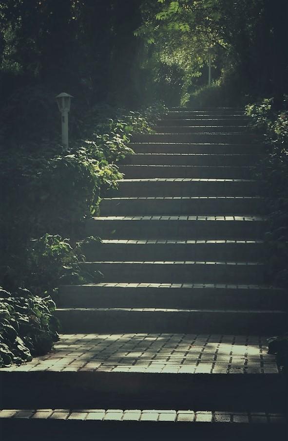 4. Focus on one step at a time