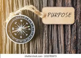 Purpose