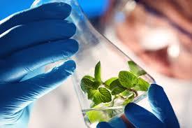 Biotechnology 