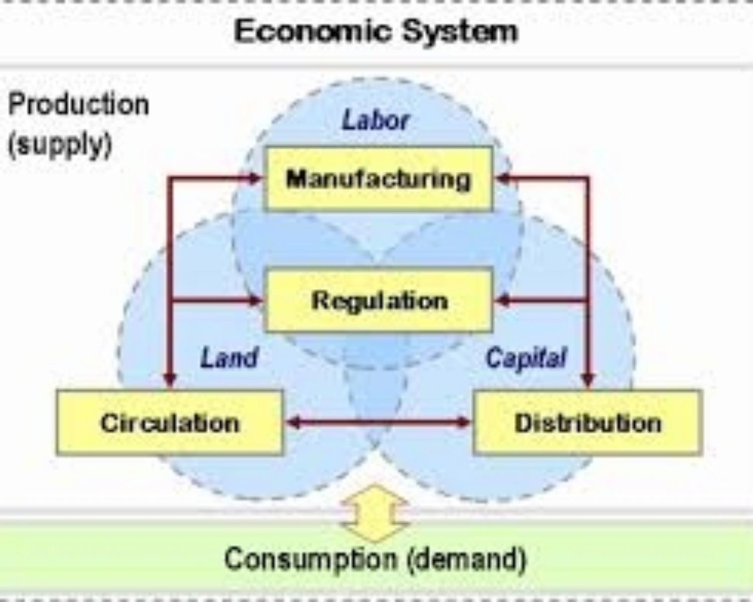 Economic system