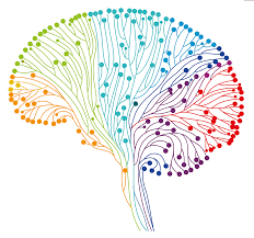 Some neuroscience terms defined