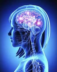 How Memories are Formed
