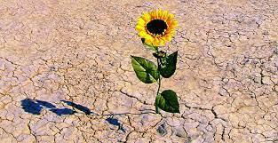 Recognize there is life after failure 