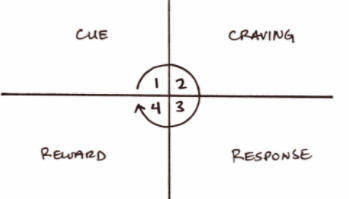 The Habit Loop