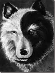 The Cherokee Indian Legend Of Two Wolves
