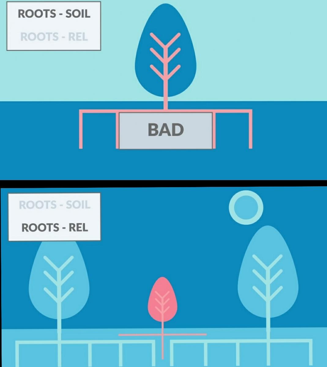 Now let me link the roots back to the other two components: Soil and Relationships