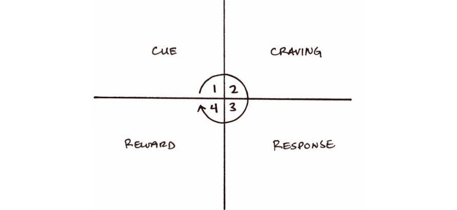 The Habit Loop