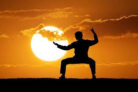 Choosing a Tai Chi Style