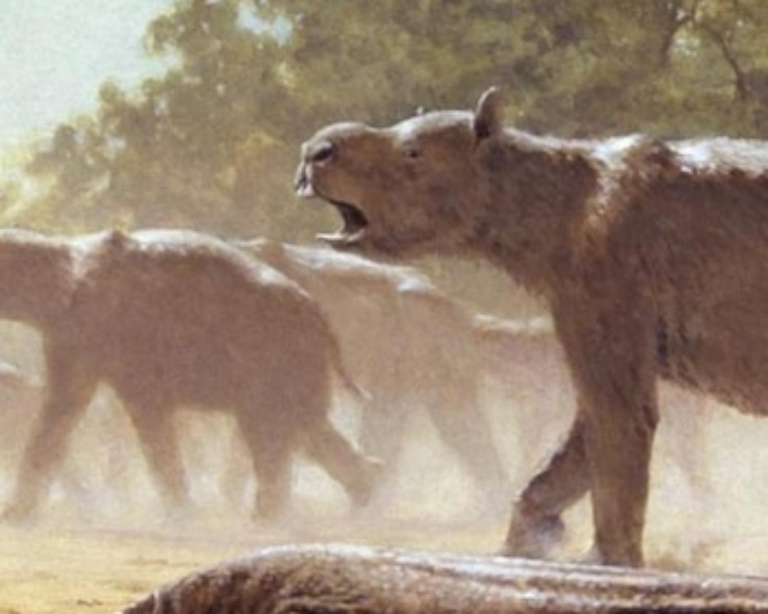Diprotodons