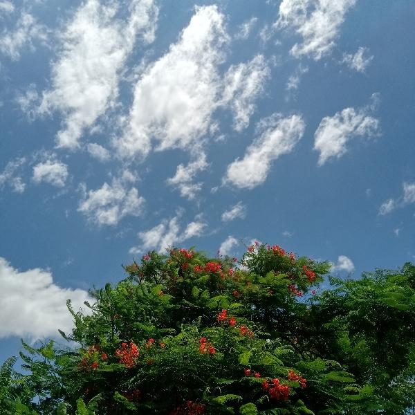 saurabhsingh_