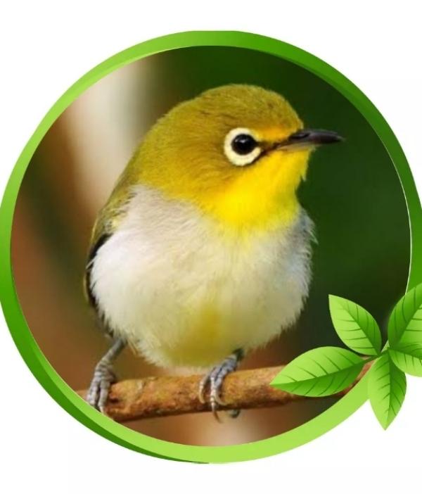 GREAT READER (@great_reader) - Profile Photo