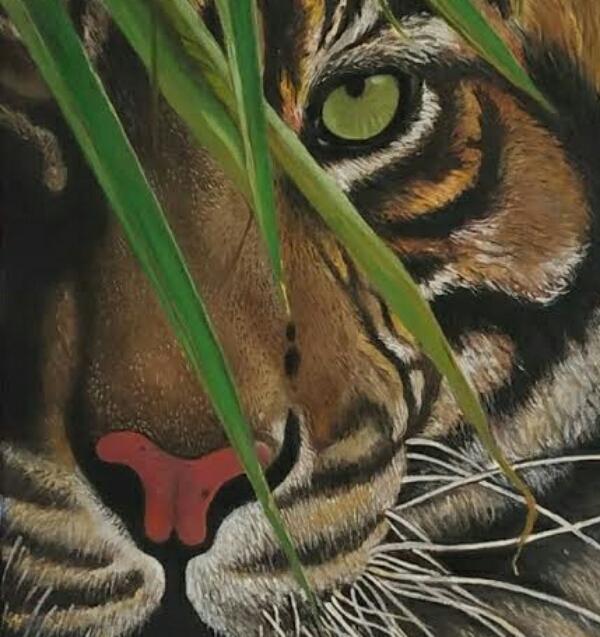 Tanuj Singh Chauhan (@tanujsingh_chau) - Profile Photo